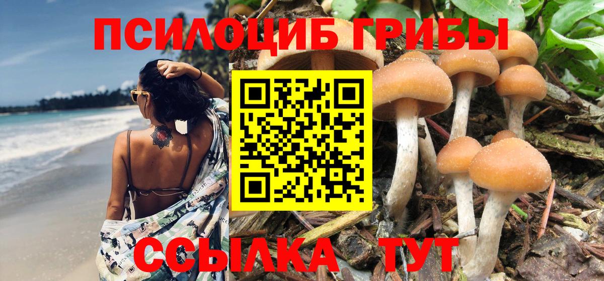 Артём  Галлюциногенные грибы Cubensis  Вход с VPN 